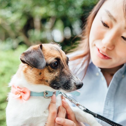 Rocographyが撮影したウェディングや家族、ビジネスの写真