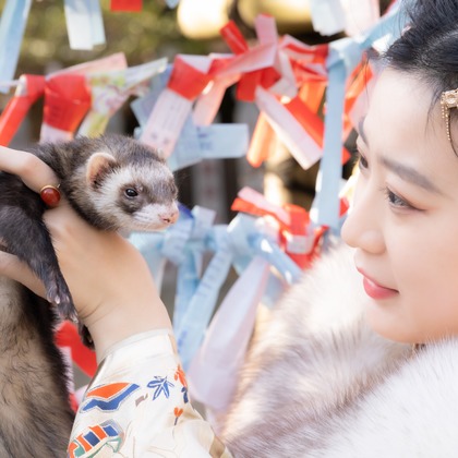 寫樂斎が撮影した「:albumName」の写真