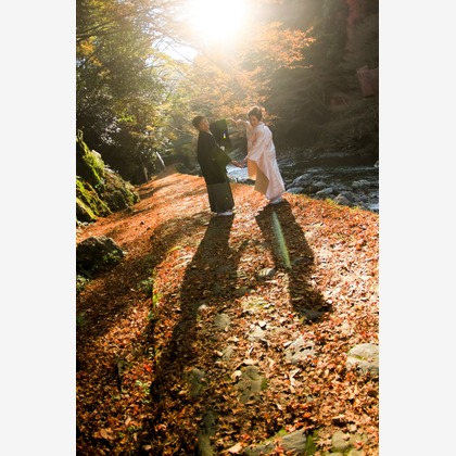 Photo of :albumName taken by Smilehunter