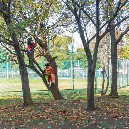 Hatazawa Akihiroが撮影した「:albumName」の写真