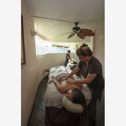 Willow Photoが撮影した「:albumName」の写真