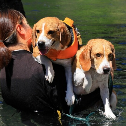 CREAMYが撮影した「:albumName」の写真