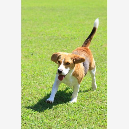 CREAMYが撮影した「:albumName」の写真