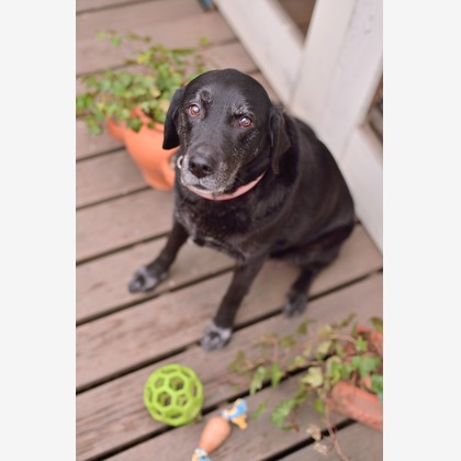 officePW 平山舜二が撮影した「:albumName」の写真