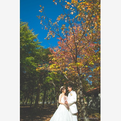 U-CONCENT (香川裕貴)が撮影したウェディングや家族、ビジネスの写真