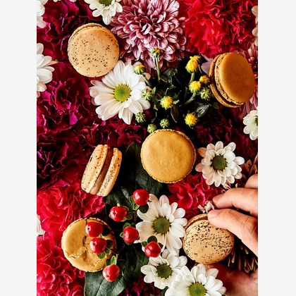 杉山 正晃が撮影したウェディングや家族、ビジネスの写真