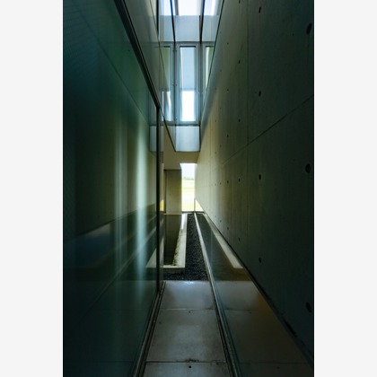 武内ピクチャーズが撮影したウェディングや家族、ビジネスの写真