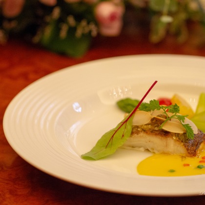 Photo of :albumName taken by Shinichi Asano