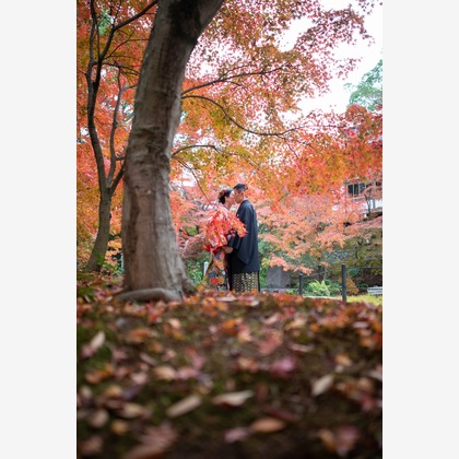 saruco(岩崎寿）が撮影した「:albumName」の写真