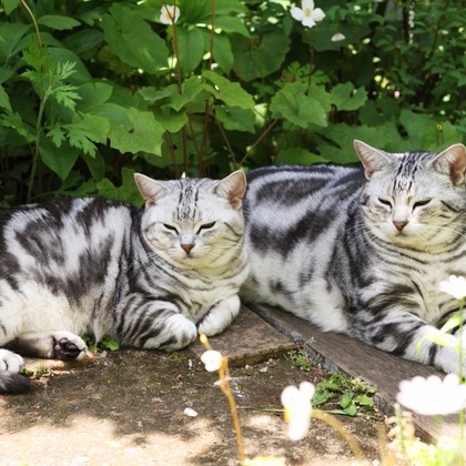 森安　照が撮影した「:albumName」の写真