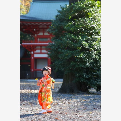 KOMOREBI Photo.　大如　耕平が撮影した七五三フォトの写真