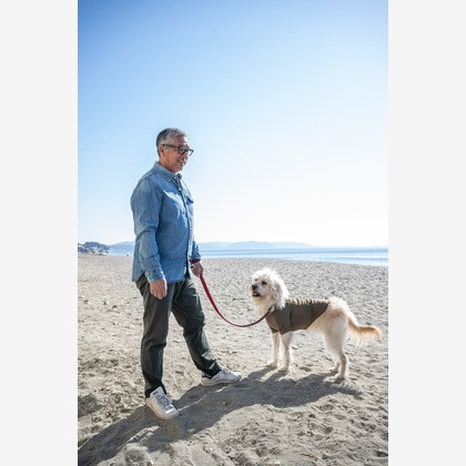 吉田佳央が撮影した「DOG SHOOTING」の写真