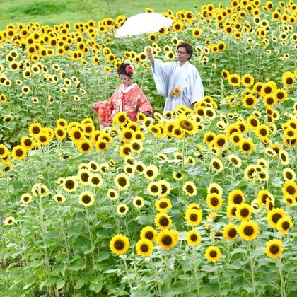 キキフォトワークスが撮影したウェディングや家族、ビジネスの写真