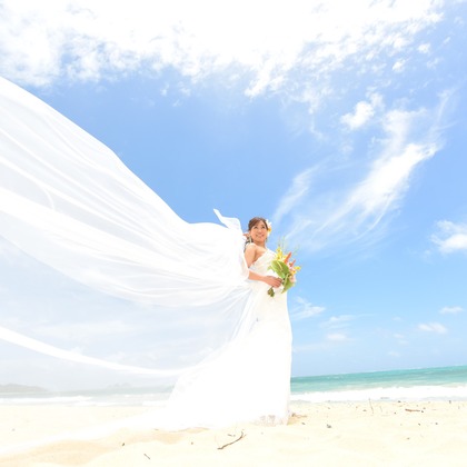 Photo of :albumName taken by TOMOPHOTOHawaii