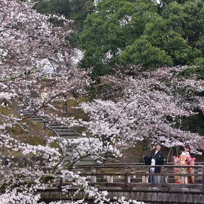 キキフォトワークスが撮影したウェディングや家族、ビジネスの写真