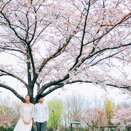 Photo of :albumName taken by t_pictures