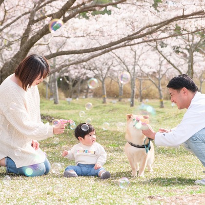 高夏写真店が出張撮影した「家族写真の撮影」の家族写真