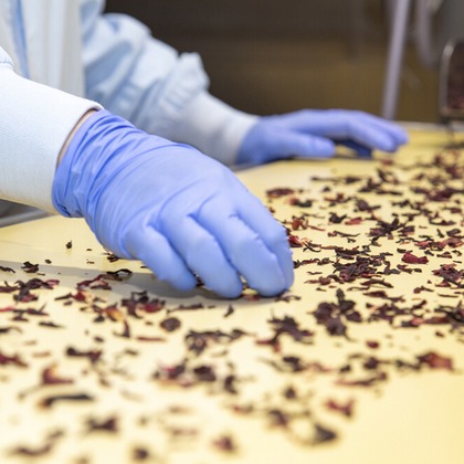 株式会社SANYO-CYP studioUPが撮影した「:albumName」の写真