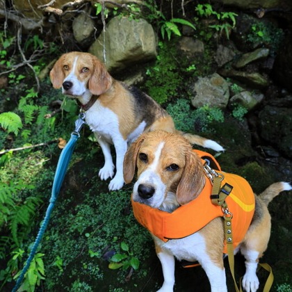 CREAMYが撮影した「:albumName」の写真