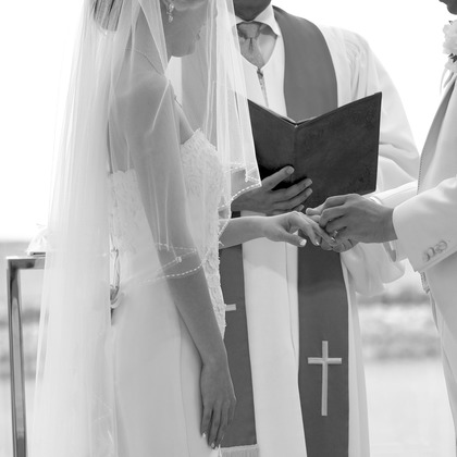 Elena's Designが撮影した「:albumName」の写真