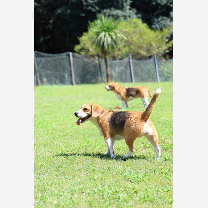 CREAMYが撮影した「:albumName」の写真