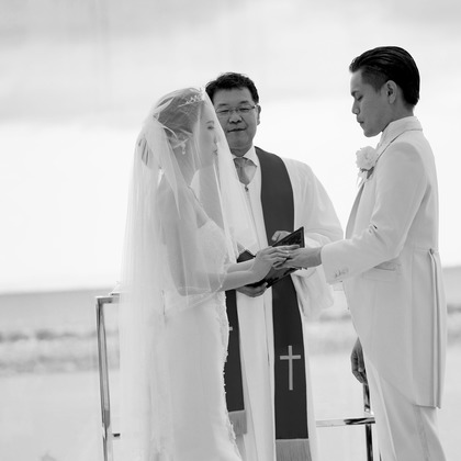 Elena's Designが撮影したウェディングや家族、ビジネスの写真