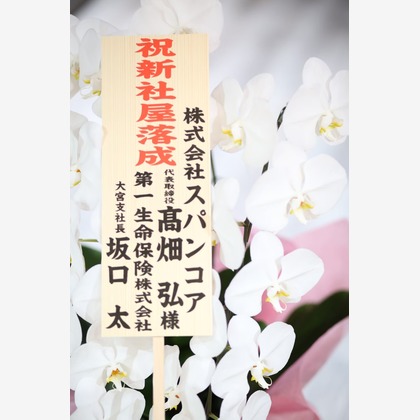 Tory Photo Graphicが撮影した人物撮影の写真