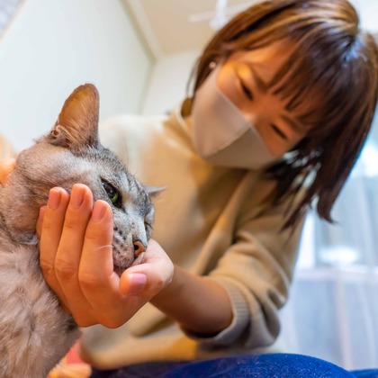 フォトグラフ山王が撮影した「:albumName」の写真