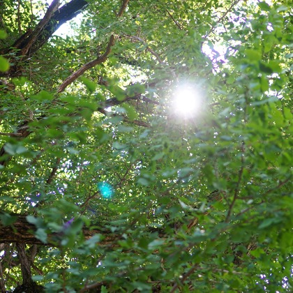 出張撮影のメモリーズが撮影した「:albumName」の写真