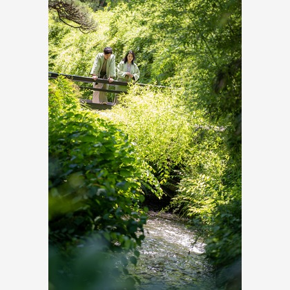 吉田佳央が撮影した「:albumName」の写真