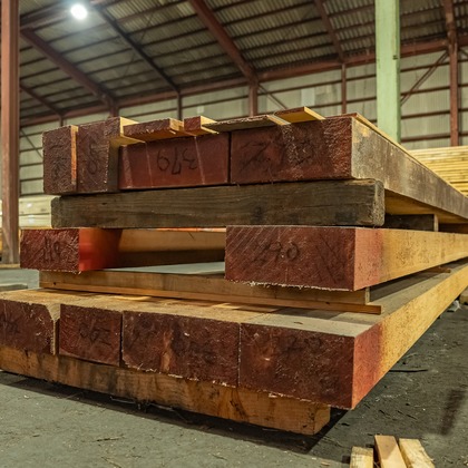 武内ピクチャーズが撮影したウェディングや家族、ビジネスの写真