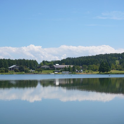 出張撮影のメモリーズが撮影した「:albumName」の写真