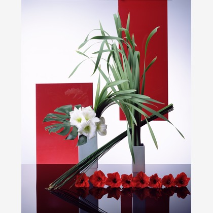 株式会社スタジオカールが撮影した「:albumName」の写真