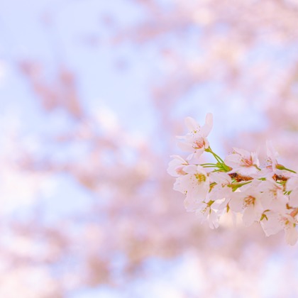 長竹　進吾が撮影した「:albumName」の写真