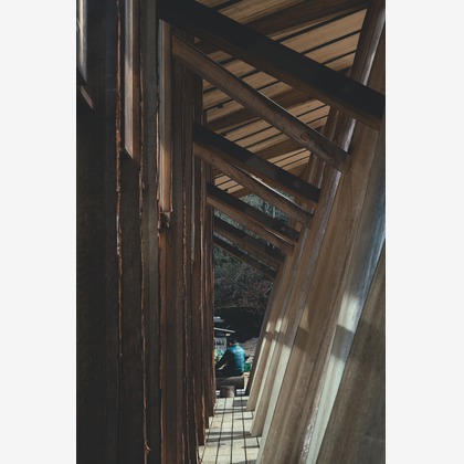 森本海斗が撮影した「:albumName」の写真