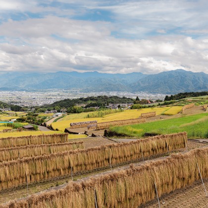 内藤駿介が撮影したその他/商品/物撮りの写真