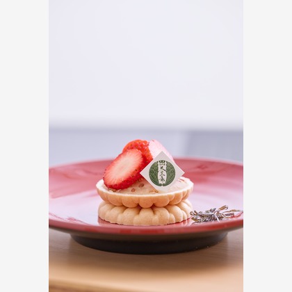 大阪フォトファクトリーが撮影したウェディングや家族、ビジネスの写真