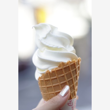 加藤めめこが撮影した「料理写真(各店舗内)」の写真