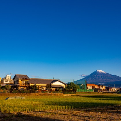 スタジオファンタスが撮影した「:albumName」の写真