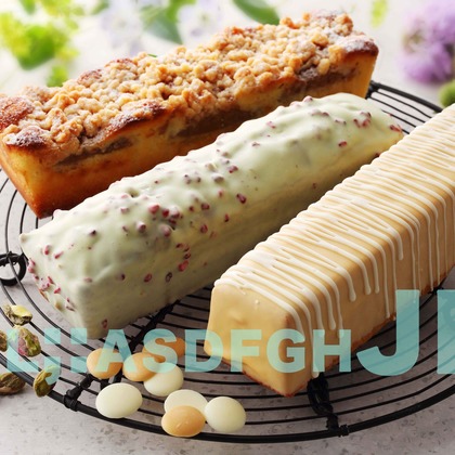 西原毅が撮影した「:albumName」の写真