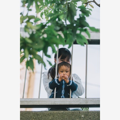 Nobuhiro Toyaが撮影した「:albumName」の写真