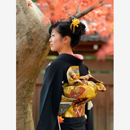 森　健児が撮影した「:albumName」の写真