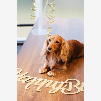 外川博己が撮影したその他の写真