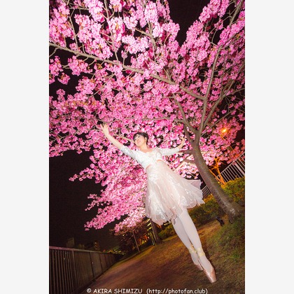 踊るカメラマンAKIRAが撮影したウェディングや家族、ビジネスの写真