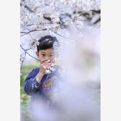 和Photographが撮影した「:albumName」の写真