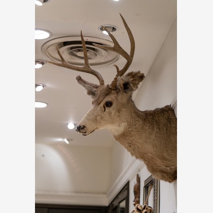 手塚隆弘が撮影したイベント/スナップ撮影の写真