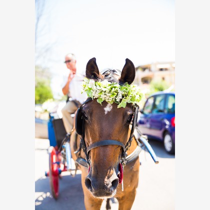 Alberto Orrú が撮影した「:albumName」の写真