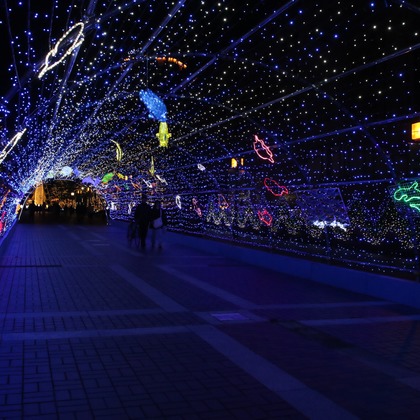 ＮＫ フォトエージェンシーが撮影したその他の写真