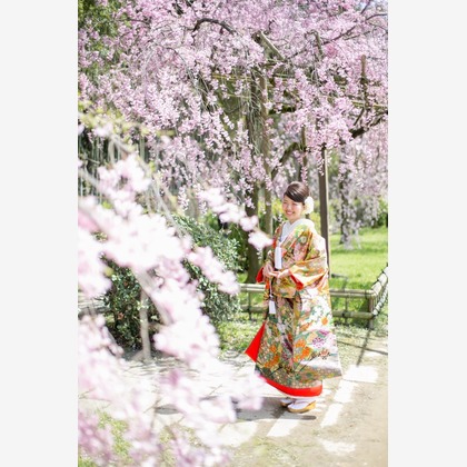 アトリエカーシャが撮影したウェディングや家族、ビジネスの写真