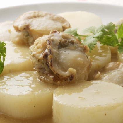 谷崎 春彦（T-Studio）が撮影した「:albumName」の写真